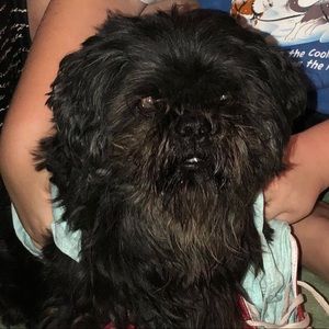 Meet your Posher, Haley